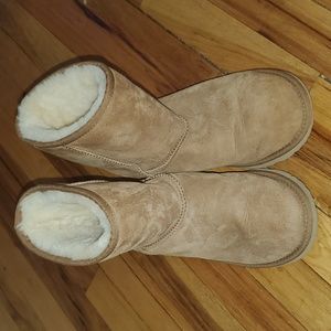 Chestnut Ugg boots